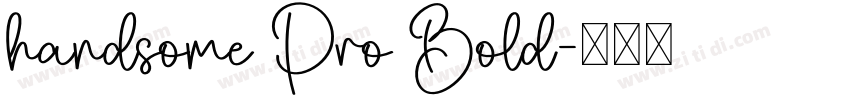 handsome Pro Bold字体转换
